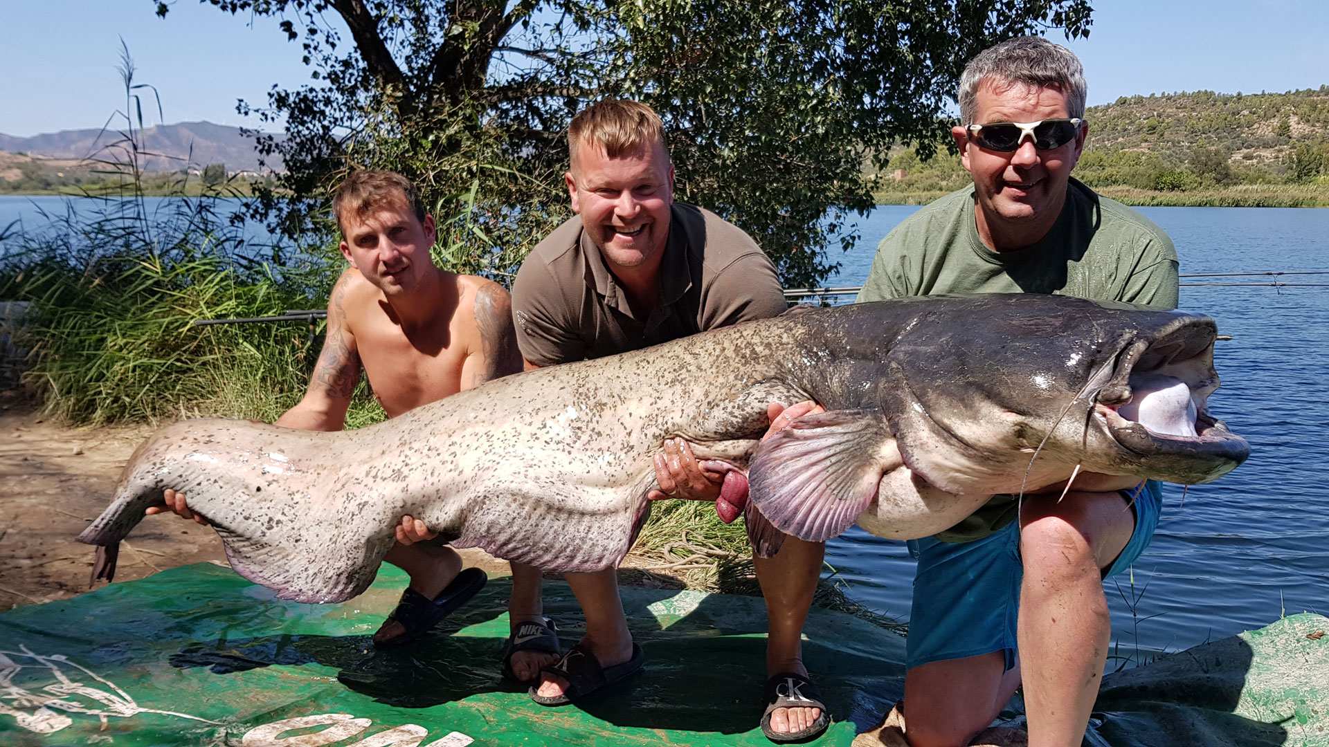 Carp & Catfishing Holidays River Ebro, Spain - Spanish Fishing Holidays On  The Ebro